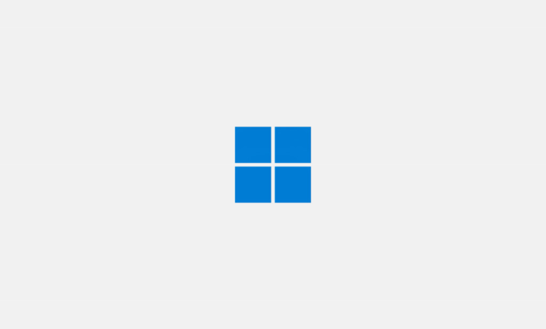 New windows 11 startup logo