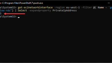 Viewing the RDS internal IP addresses using the get ec2networkinterfaces PowerShell cmdlet