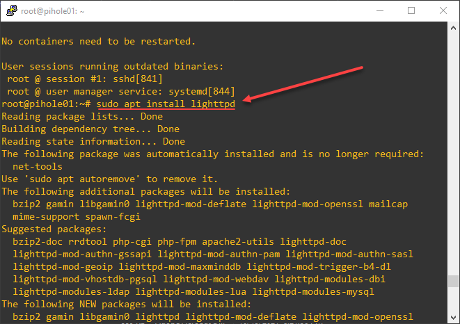 Install lighttpd server in Ubuntu 21.04