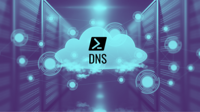 Get DNSname PowerShell DNS lookup